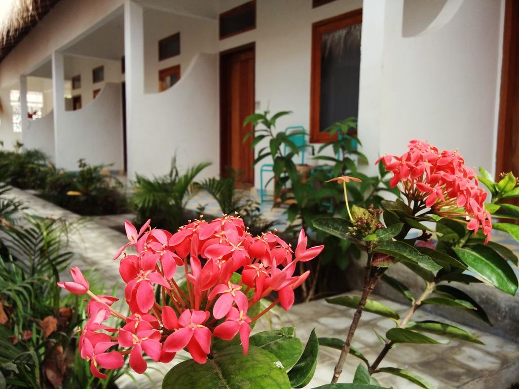 La Favela Hostel Τζίλι Τραγουανγκάν Εξωτερικό φωτογραφία